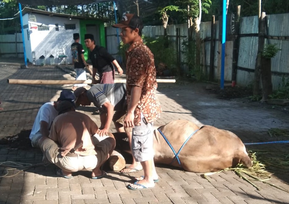 Istiqamah Tahun Ketiga, Assholach Bagikan Daging Kurban Untuk Warga