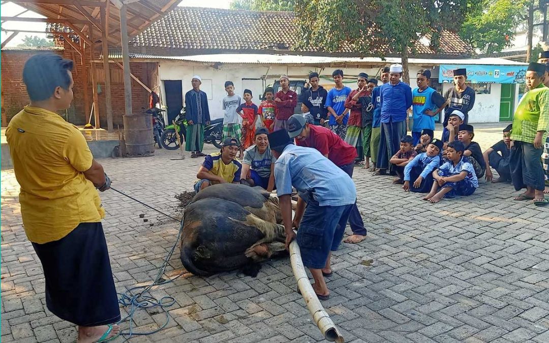 Perkuat Silaturahmi, Assholach Bagikan Daging Qurban kepada Warga Sekitar